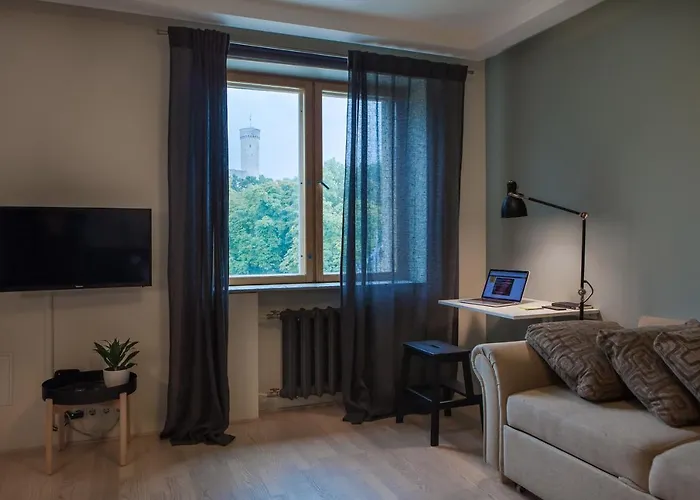 Apartment Hermann View *