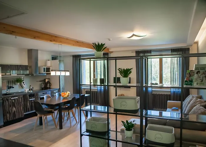 Hermann View Apartment *