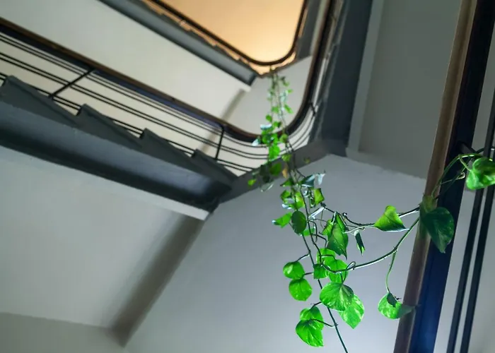 Apartment Hermann View *